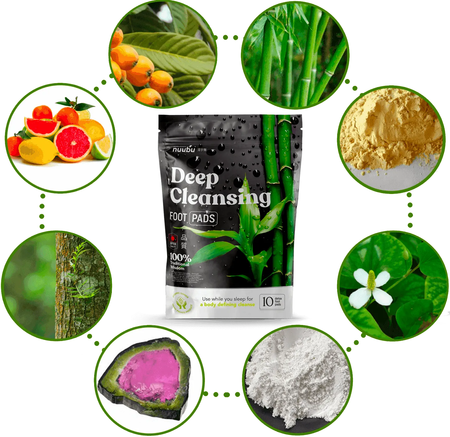 Collection of natural herbal ingredients used in Nuubu